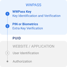Essential Strategies for Effective Identity Management
