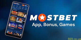 Essential Tips for Betting on the Most Popular Sports